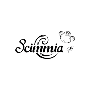 diseño sin título 3