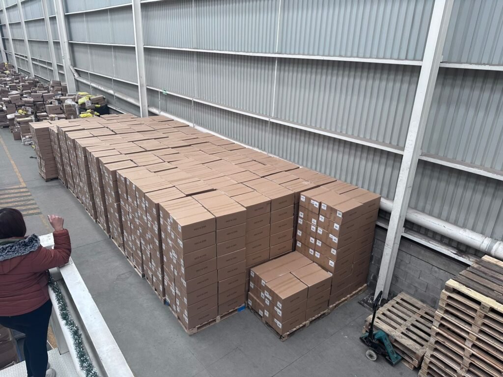 Inicio whatsapp image 2026 03 24 at 2.58.30 pm